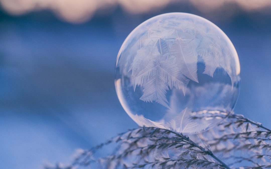 Hivernage – SCI du Marais