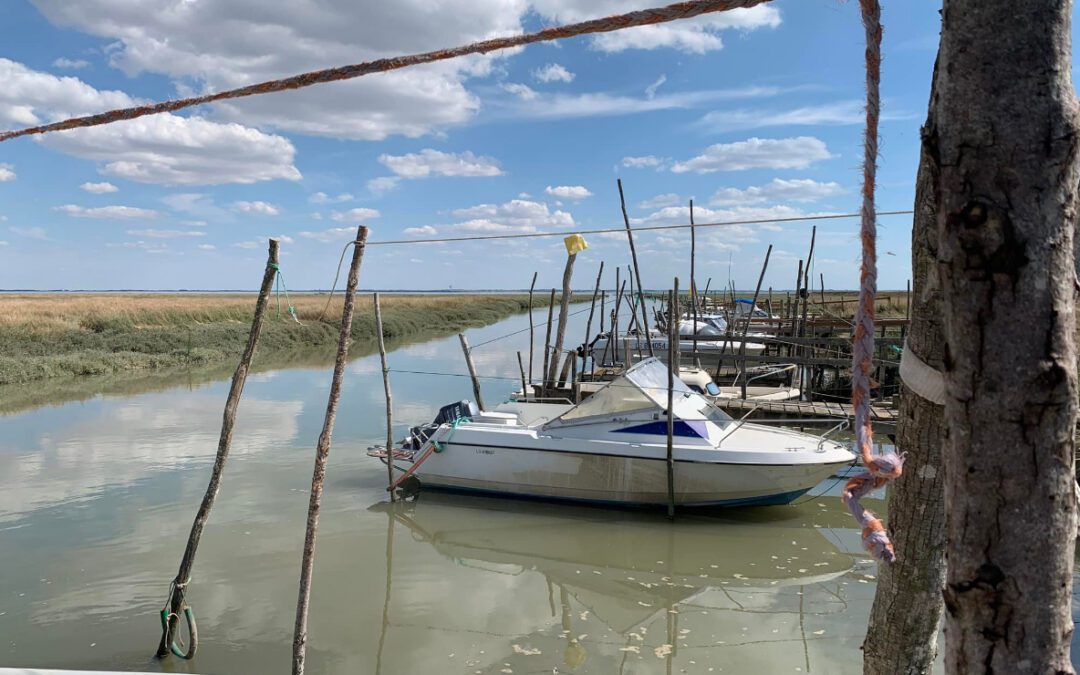 APCV (Association Port du Chenal Vieux)