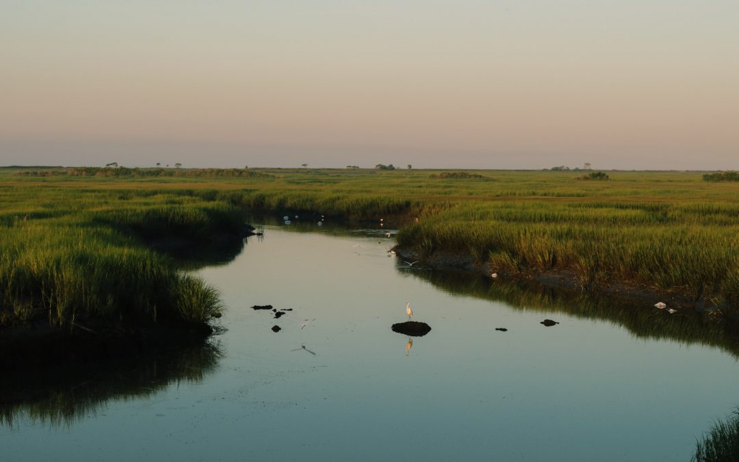 Société des Marais