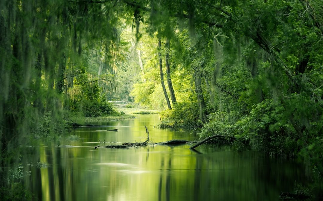 ASA (Association Syndicale Autorisée)