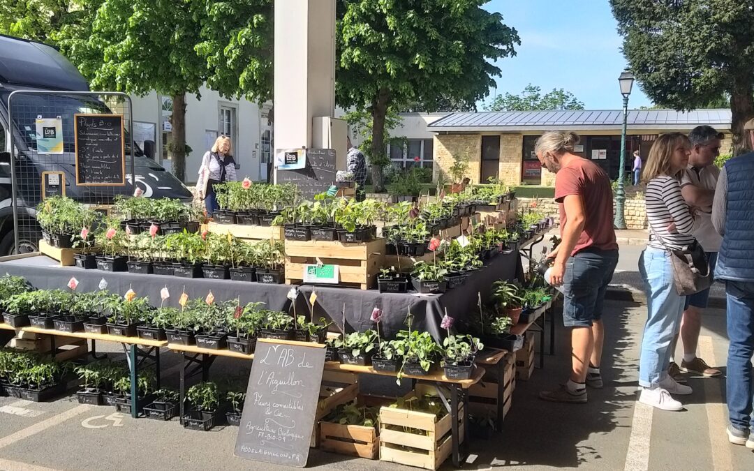 2ème édition du marché de printemps de l’Amicale Laïque sous les Halles