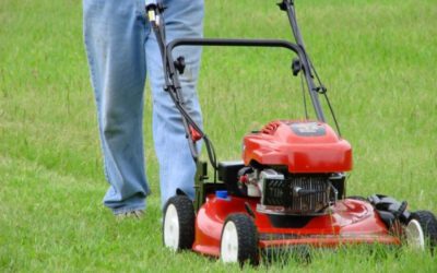 Vivons en bon voisinage