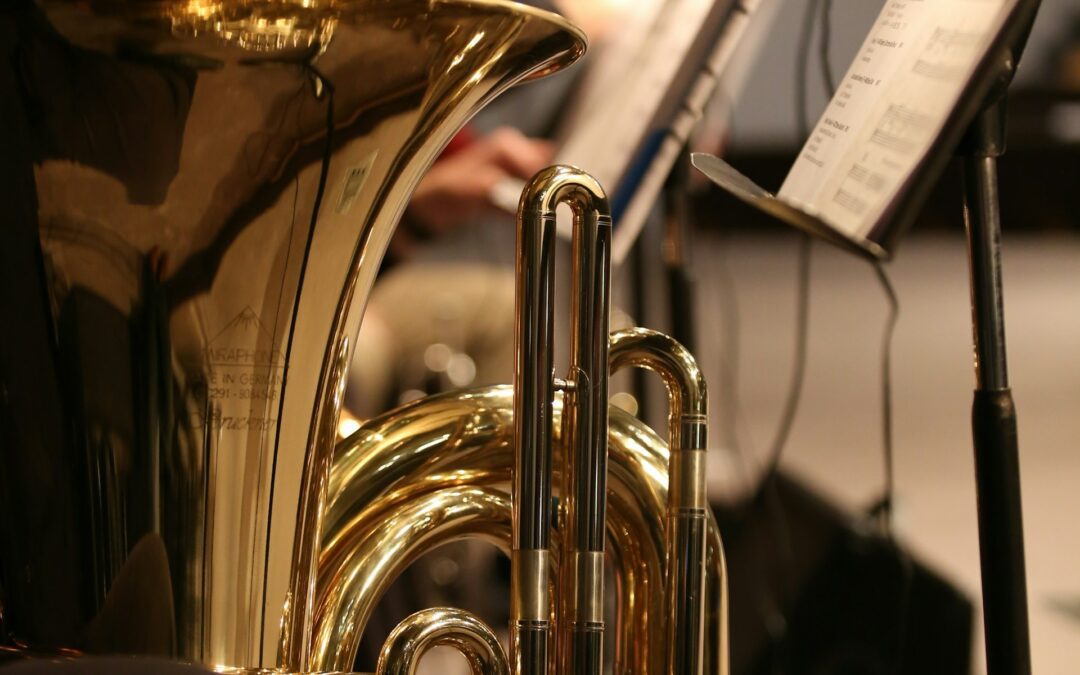 La BANDA VEN’D SUD