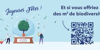 Saint-Michel-en-l’Herm, 1ère commune de Vendée à s’engager auprès de Créateur de forêt