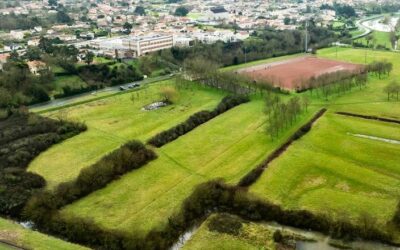 Création d’une forêt