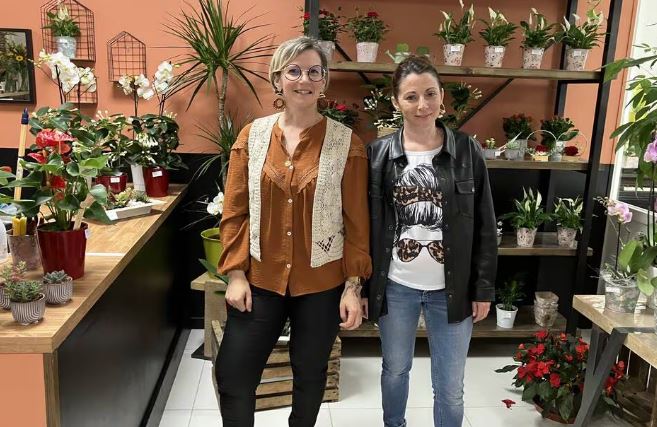 Les Fleurs d’Ambrélice Cindy et Claris