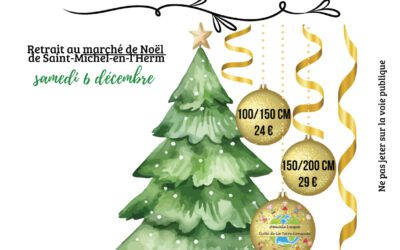 Vente de sapins de Noël