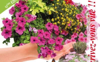 Concours de fleurissement