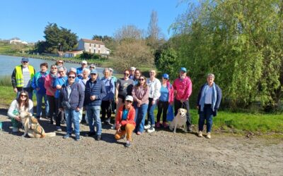 Centre de Soins Infirmier de St Michel