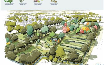 À Saint-Michel-en-l’Herm, un projet de forêt est en train de naître.