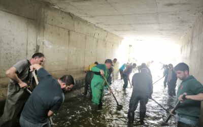 Evacuation des eaux